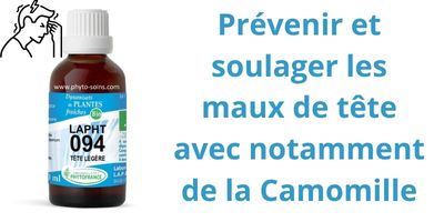LAPHT t&ecirc;te l&eacute;g&egrave;re